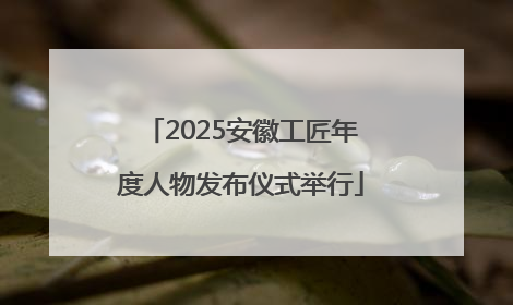 2025安徽工匠年度人物发布仪式举行
