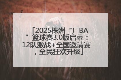 2025株洲“厂BA”篮球赛3.0版启幕：12队激战+全国邀请赛，全民狂欢升级