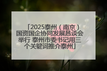 2025泰州（南京）国资国企协同发展恳谈会举行 泰州市委书记用三个关键词推介泰州