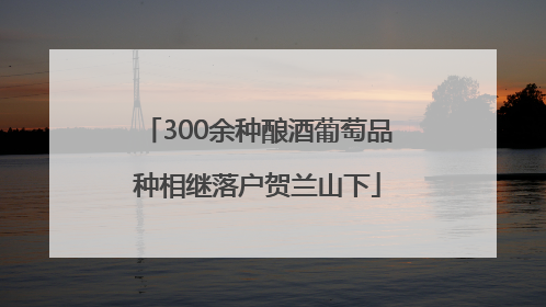 300余种酿酒葡萄品种相继落户贺兰山下