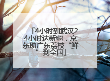 4小时到武汉24小时达新疆，京东助广东荔枝“鲜”到全国