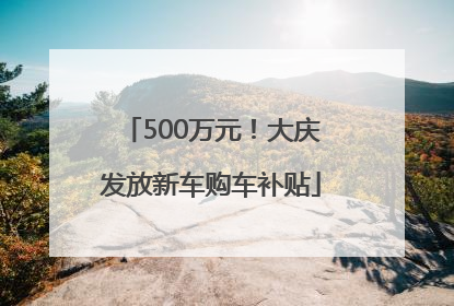 500万元！大庆发放新车购车补贴