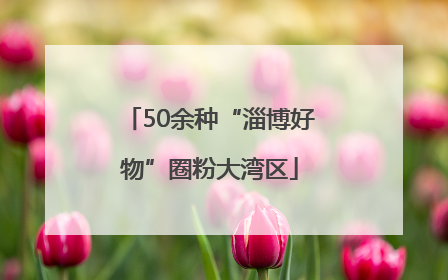 50余种“淄博好物”圈粉大湾区