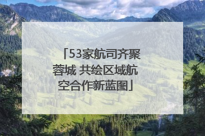 53家航司齐聚蓉城 共绘区域航空合作新蓝图