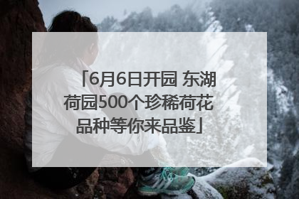 6月6日开园 东湖荷园500个珍稀荷花品种等你来品鉴