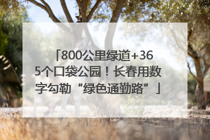 800公里绿道+365个口袋公园！长春用数字勾勒“绿色通勤路”