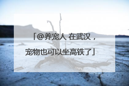 @养宠人 在武汉，宠物也可以坐高铁了