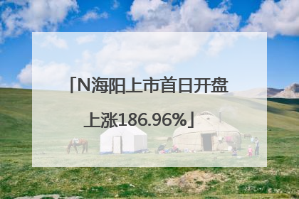 N海阳上市首日开盘上涨186.96%